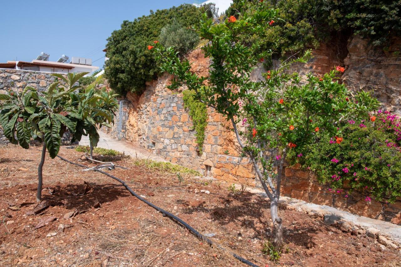 Miracle View Villas Agios Nikolaos Buitenkant foto