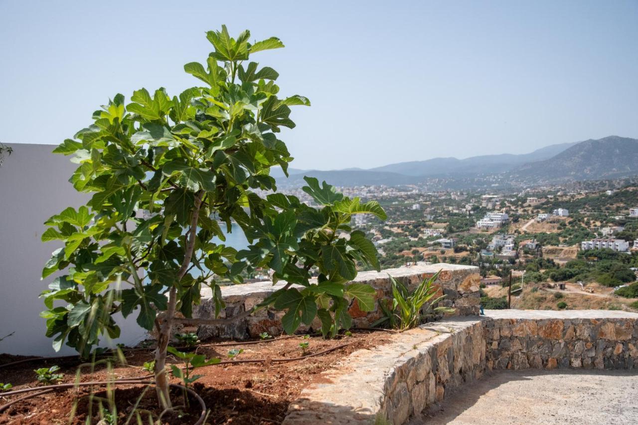 Miracle View Villas Agios Nikolaos Buitenkant foto