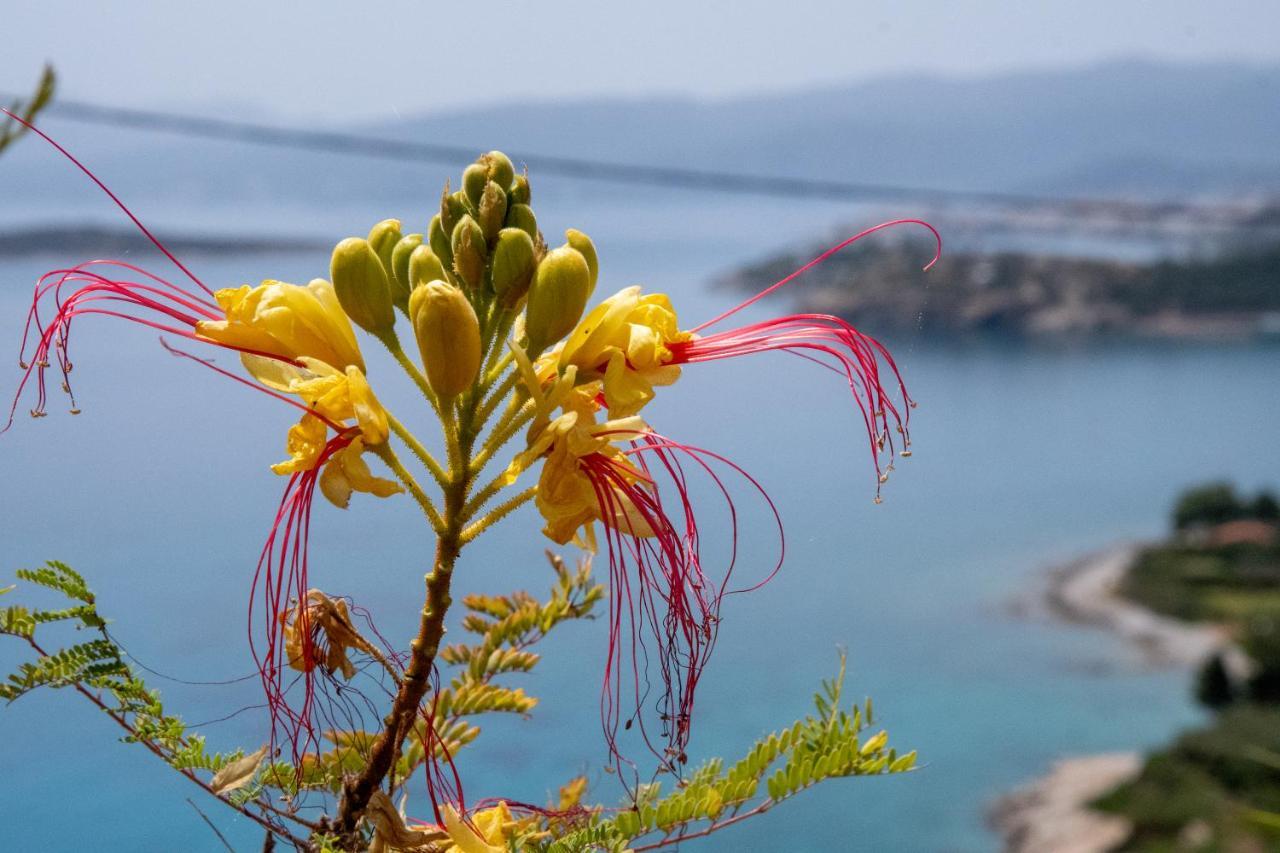 Miracle View Villas Agios Nikolaos Buitenkant foto